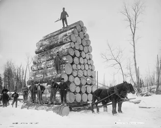 Logger en stor byrde, Michigan, ca. 1880-99